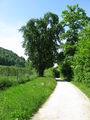Bild vom 