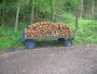 Bild vom 