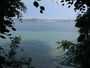 Bild vom 