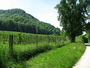 Bild vom 