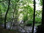 Bild vom 
