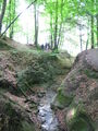 Bild vom 