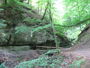Bild vom 