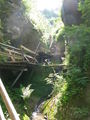 Bild vom 