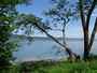 Bild vom 