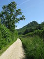 Bild vom 