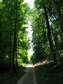 Bild vom 