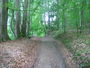 Bild vom 