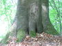 Bild vom 