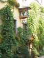 Bild vom 