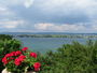 Bild vom 