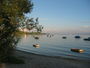 Bild vom 