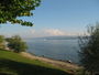 Bild vom 