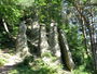 Bild vom 