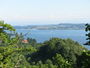 Bild vom 