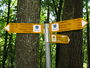 Bild vom 