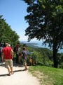 Bild vom 