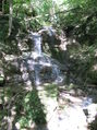 Bild vom