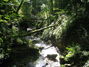 Bild vom